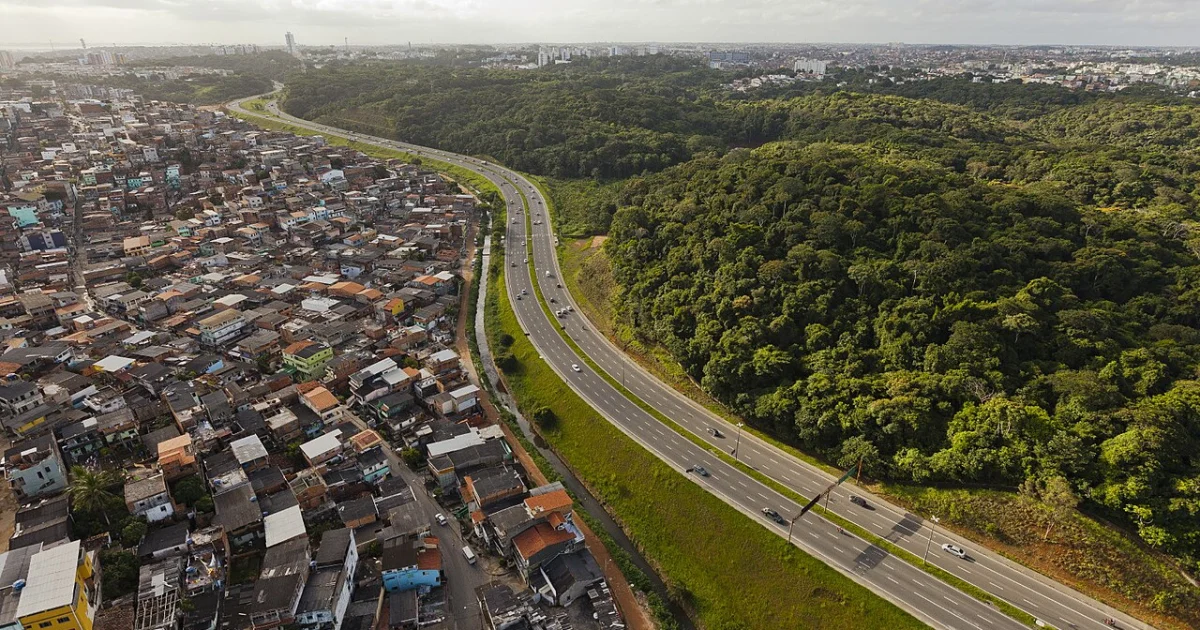 Marketing digital em Luís Eduardo Magalhães: estratégia para negócios que atendem a cidade e a região
